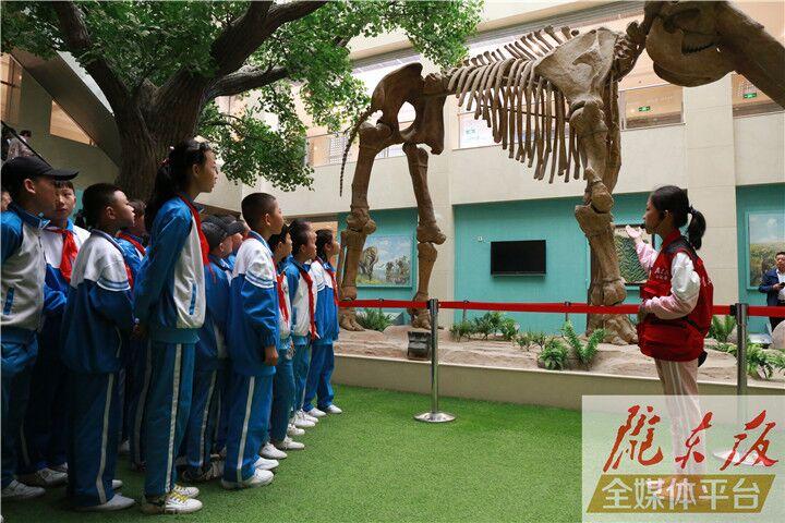 【第一眼】慶陽(yáng)市博物館開展多項(xiàng)活動(dòng)慶?！?·18國(guó)際博物館日”