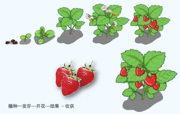 【防疫科普】如何利用園藝療法保持復(fù)工后身心健康？