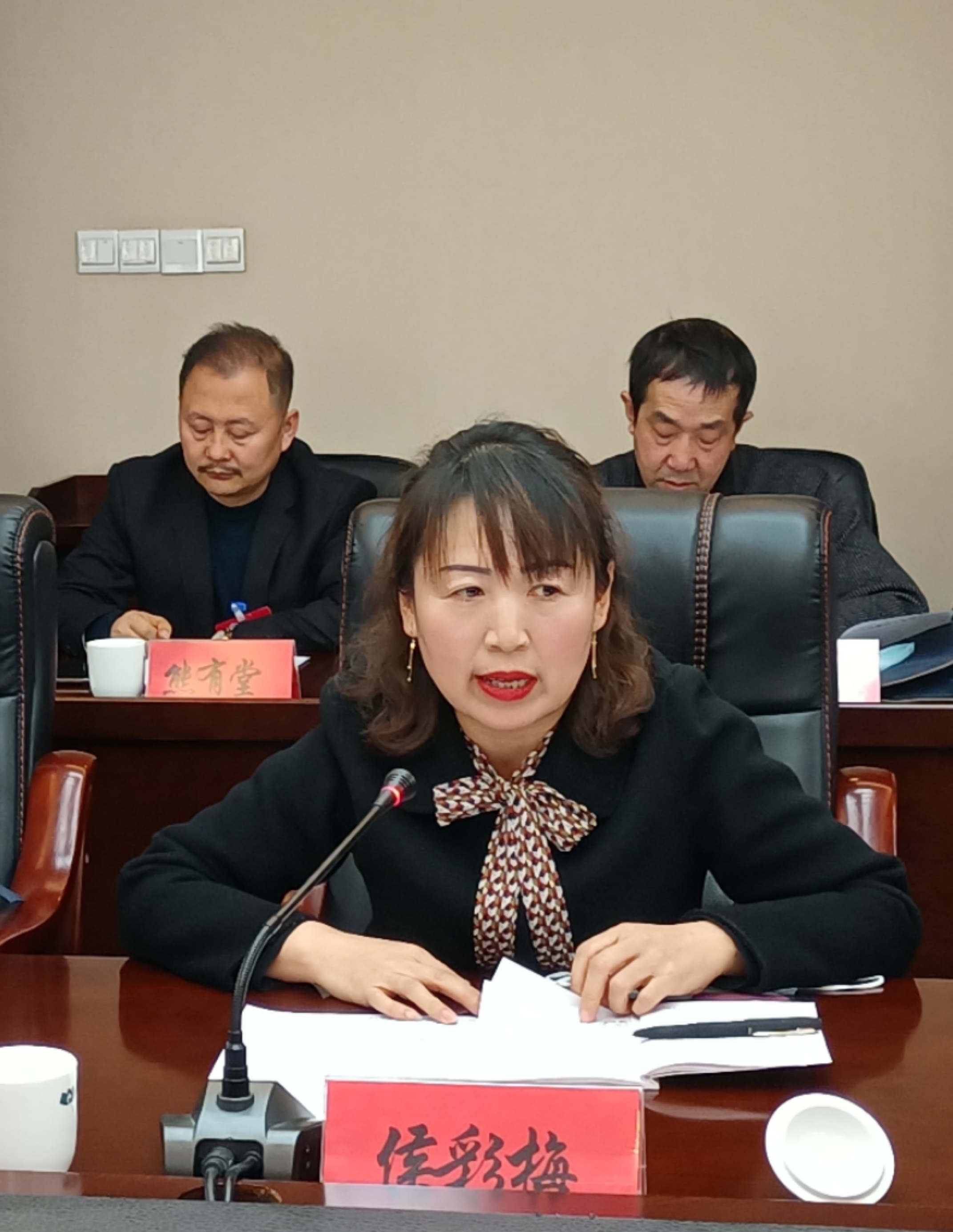 侯彩梅委員在討論發(fā)言時就規(guī)范農(nóng)村中小學(xué)體育教學(xué)提出了建議。