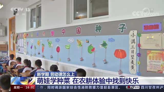 新學(xué)期，勞動(dòng)課怎么上？央視《新聞直播間》關(guān)注北師大慶陽(yáng)附校農(nóng)耕體驗(yàn)課