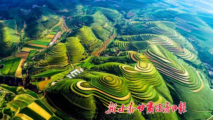 “羊”名立萬正當(dāng)時(shí)——環(huán)縣念羊經(jīng)、興羊業(yè)、發(fā)羊財(cái)促進(jìn)鄉(xiāng)村振興發(fā)展
