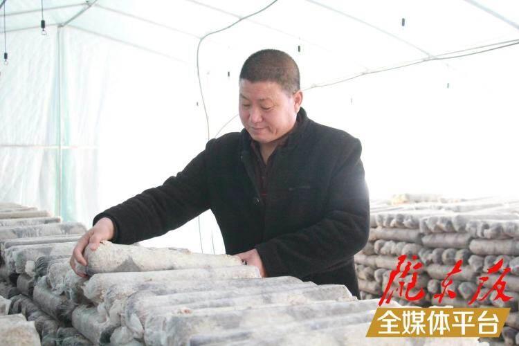 西峰區(qū)后官寨鎮(zhèn)司官寨村食用菌基地，工作人員在整理菌棒。本報記者 南力 攝