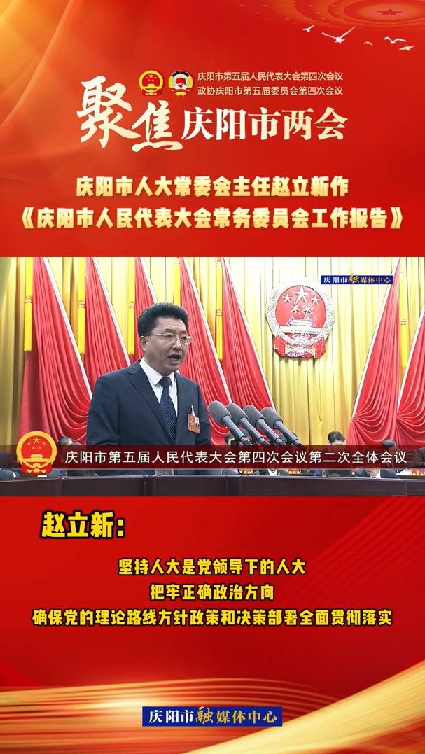 兩會V視(28)丨趙立新：堅持人大是黨領(lǐng)導(dǎo)下的人大，把牢正確政治方向，確保黨的理論路線方針政策和決策部署全面貫徹落實