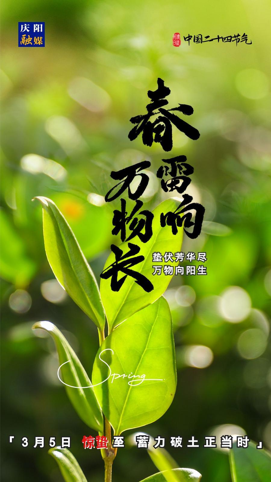 【微海報(bào)】二十四節(jié)氣丨驚蟄至，蓄力破土正當(dāng)時(shí)
