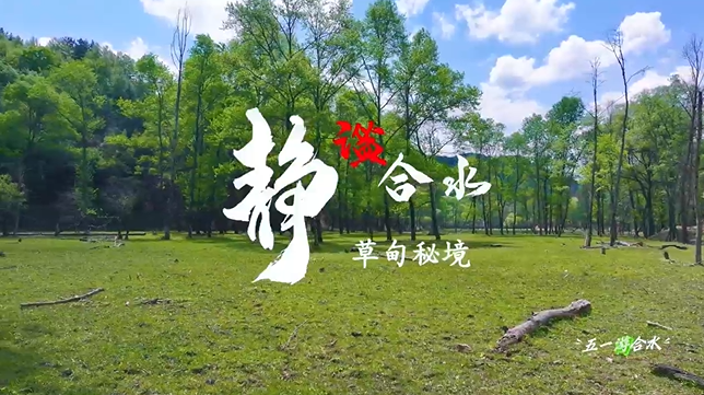 【五一游慶陽】靜謐合水︱合水縣太莪鄉(xiāng)草甸秘境等你來打卡！