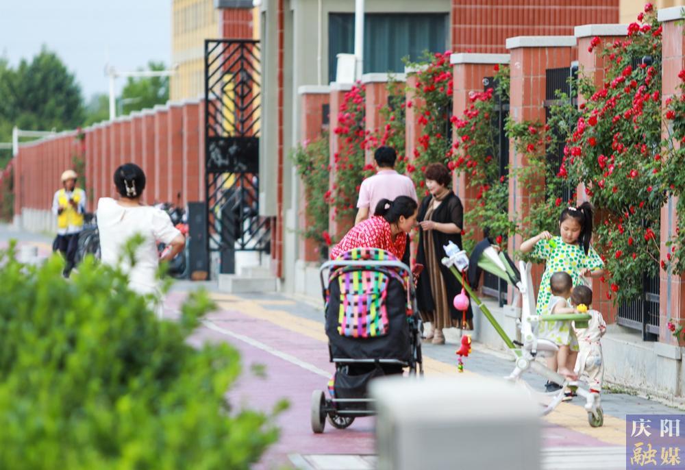 【攝影報道】薔薇花開！邂逅夏日的浪漫
