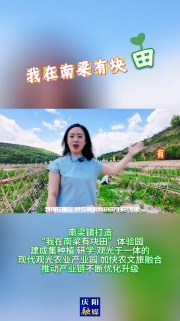 南梁鎮(zhèn)打造“我在南梁有塊田”體驗(yàn)園，建成集種植、研學(xué)、觀光于一體的現(xiàn)代觀光農(nóng)業(yè)產(chǎn)業(yè)園，加快農(nóng)文旅融合，推動(dòng)產(chǎn)業(yè)鏈不斷優(yōu)化升級(jí)