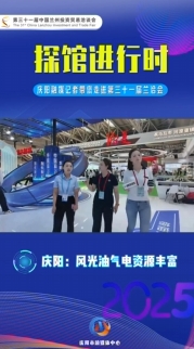 【“云”探蘭洽會(huì)】慶陽(yáng)氣電資源豐富