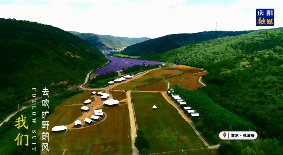 讓我們心向荒野，一起追風自由