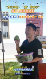 “甘之如飴‘桃’你歡心”黃甘桃采摘直播季｜網(wǎng)絡(luò)主播郭濤為家鄉(xiāng)黃甘桃代言，歡迎大家來寧縣采摘黃甘桃