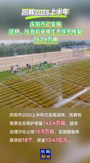 【回眸2025上半年】慶陽市上半年已實(shí)施造林、撫育和草原生態(tài)保護(hù)修復(fù)143.4萬畝