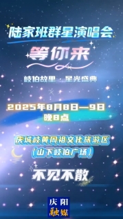 8月8日至9日每晚8點(diǎn)，陸家班群星演唱會(huì)等您來！