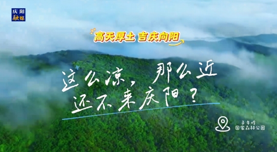 這么涼，那么近，還不來(lái)慶陽(yáng) ？——“天然氧吧”子午嶺國(guó)家森林公園歡迎您來(lái)！